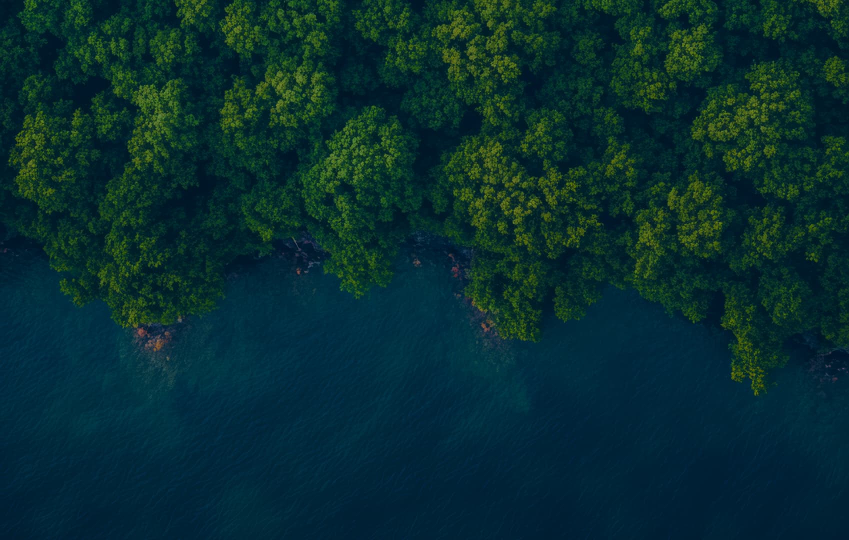 Everyone's Building a Data Centre. Few Are Structuring It for Institutional Capital.